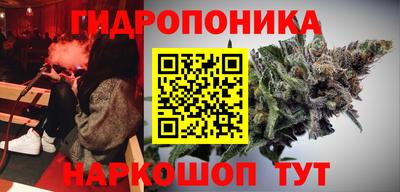 PSILOCYBIN Камышлов