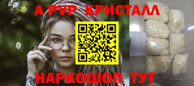 PSILOCYBIN Камышлов