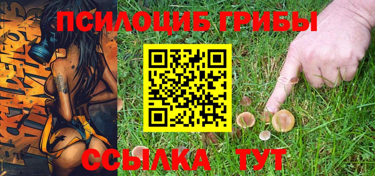 Псилоцибиновые грибы мухоморы  Псилоцибиновые грибы MAGIC MUSHROOMS  Вход с VPN  где купить   Кудымкар 